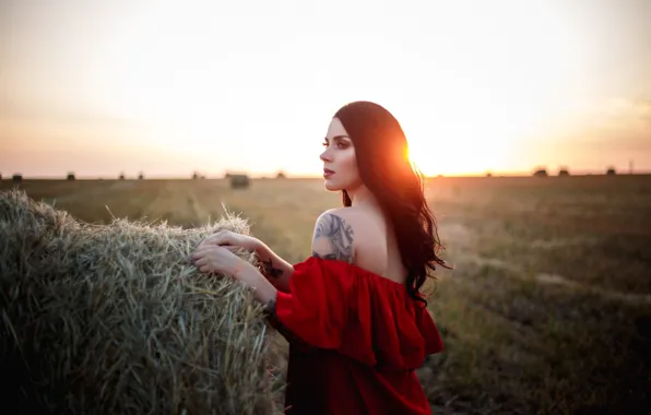 Picture the sun, Girl, stack, dress, hay, shoulders, Anna Kovaleva