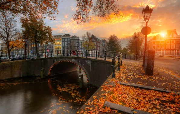 Picture autumn, sunset, bridge, the city, foliage, home, Amsterdam, channel