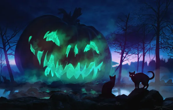 Night, holiday, cats, Halloween, pumpkin