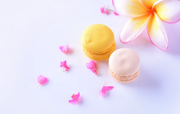Cakes, FLOWER, plumeria, Pasta