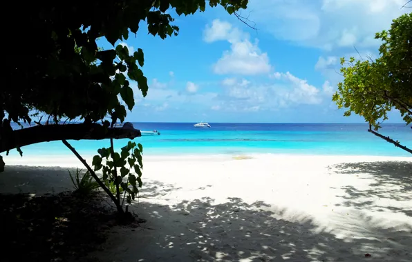 Tropics, beauty, island, Маldives