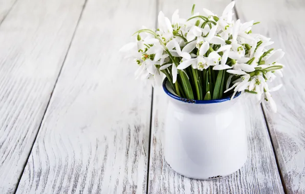Flowers, bouquet, snowdrops, white, white, flowers, spring, Snowdrops