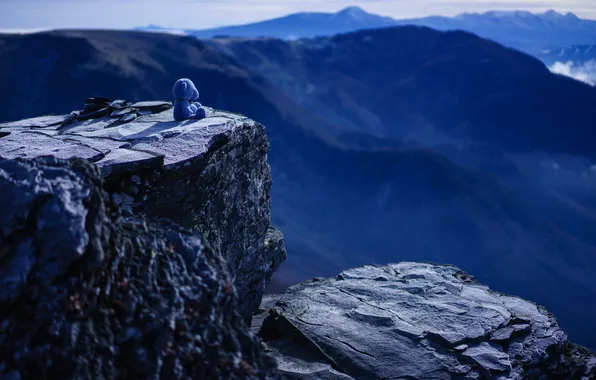 Mountains, rocks, toy, bear, panorama