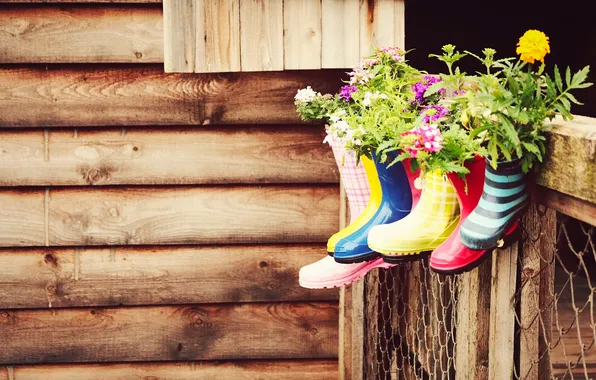 Flowers, boots, the barn, vases