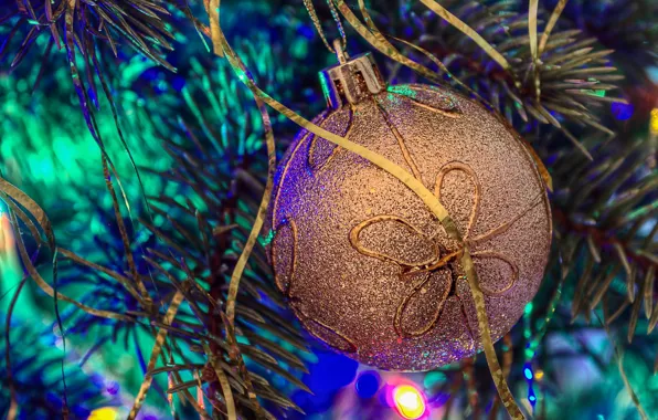 Branches, sequins, Christmas ball
