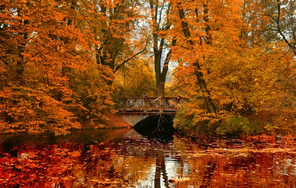 Autumn, bridge, Park, reflection, river