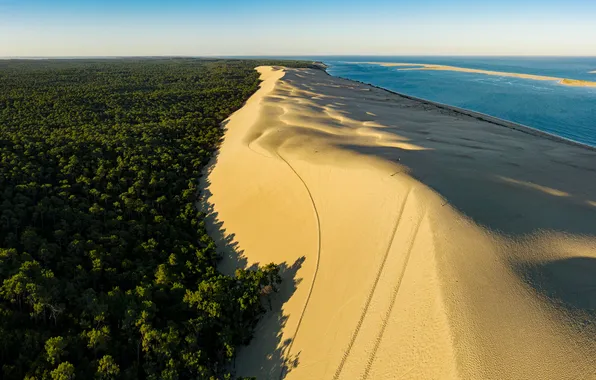 Picture sand, forest, beach, the sky, clouds, trees, landscape, nature