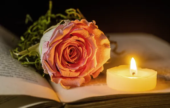 Flame, roses, candles, book