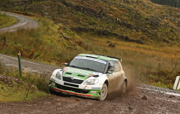 Picture Auto, Green, Dirt, the front, Rally, Rally, Skoda, Fabia