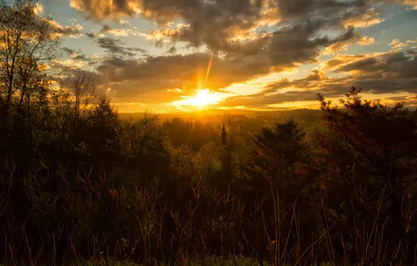 The sky, the sun, clouds, trees