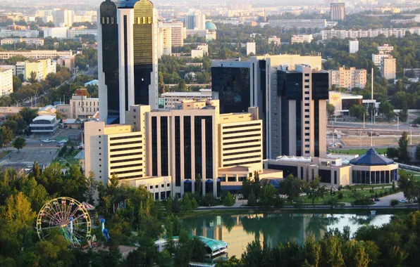 Trees, the city, building, capital, business centre, Uzbekistan, Tashkent