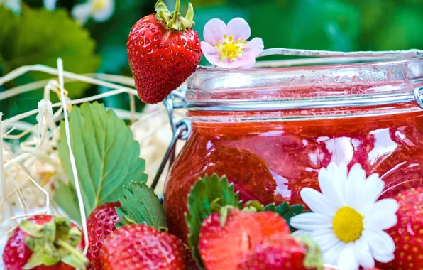 Picture flowers, berries, chamomile, strawberry, Bank, jam, jam