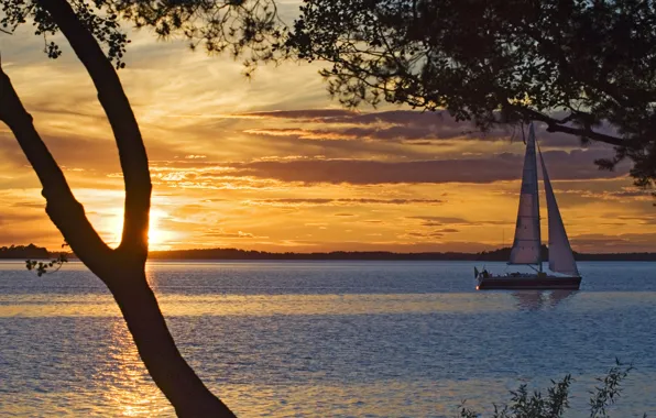 Beautiful, sailboat, sail at sunset