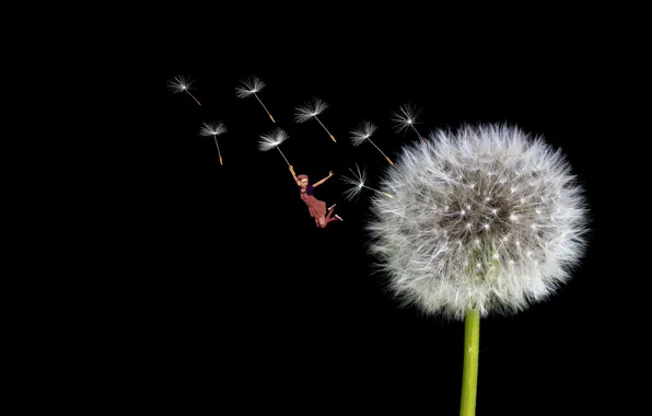 Macro, flight, fantasy, dandelion, seeds, girl, fantasy, black background