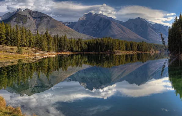Forest, mountains, lake, reflection, Canada, Albert, Banff National Park, Alberta
