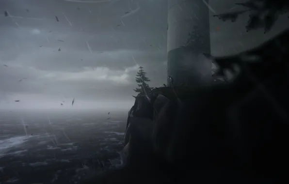 Lighthouse, Storm, Storm, Max, Lighthouse, Max, Life is strange