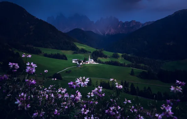 Flowers, mountains, night, Alps