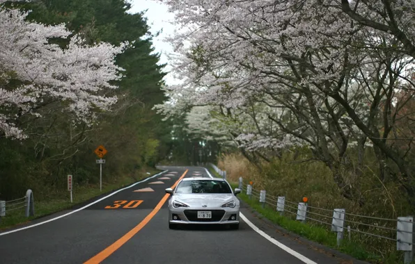Subaru, Mountain, BRZ, Subaru BRZ, Subaru Car