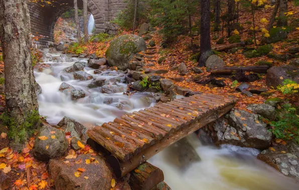 Autumn, leaves, trees, bridge, river, arch, Maine, Man