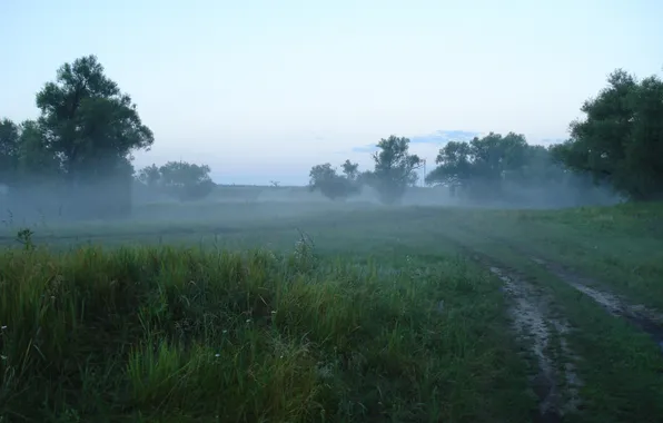 Picture fog, early in the morning, The Volga region