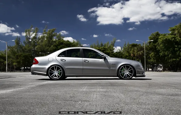 Picture machine, auto, trees, Mercedes Benz, auto, Black, Matte, Wheels