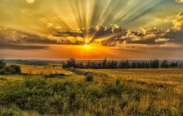 Sunset, The sky, Dawn