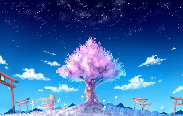 Picture the sky, girl, stars, clouds, tree, anime, petals, Sakura