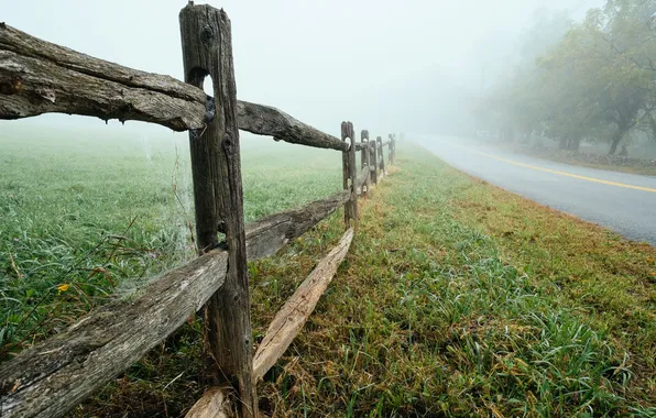 Road, fog, the fence