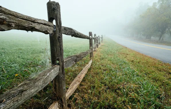 Picture road, fog, the fence