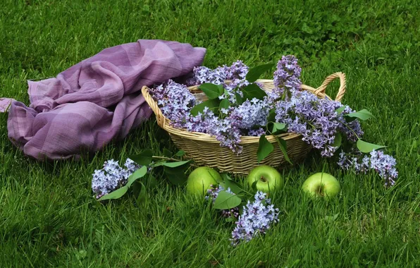 Picture BACKGROUND, GRASS, STAY, FLOWERS, PLAID, BASKET, BASKET, GREEN