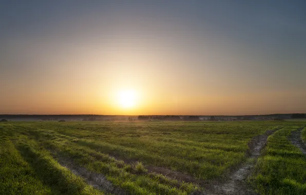 Field, the sky, grass, trees, sunset, traces, village