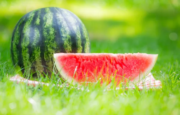 Picture nature, watermelon, weed, slices
