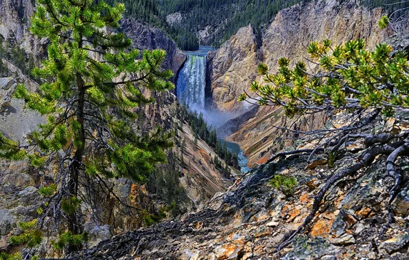 Picture trees, river, rocks, waterfall, Wyoming, USA, Yellowstone
