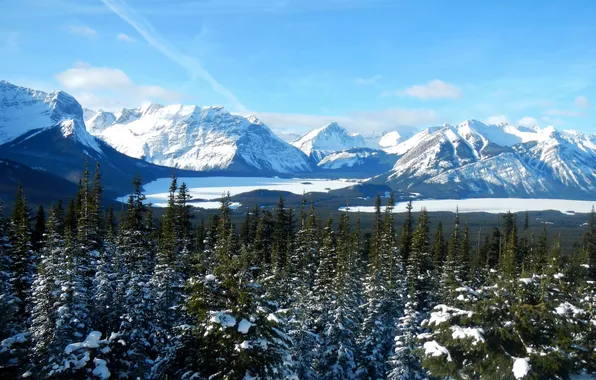 Winter, snow, trees, mountains, valley, glacier, Canada, Alberta