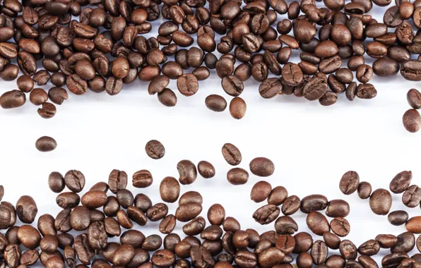 Picture coffee, grain, beans, coffee