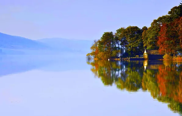 Picture forest, lake, house