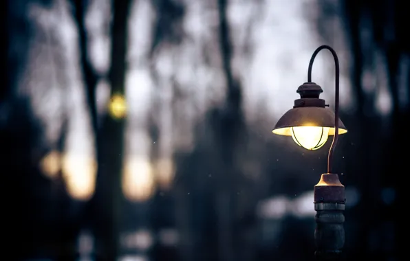 Winter, light, trees, nature, the evening, drop, lantern, snow