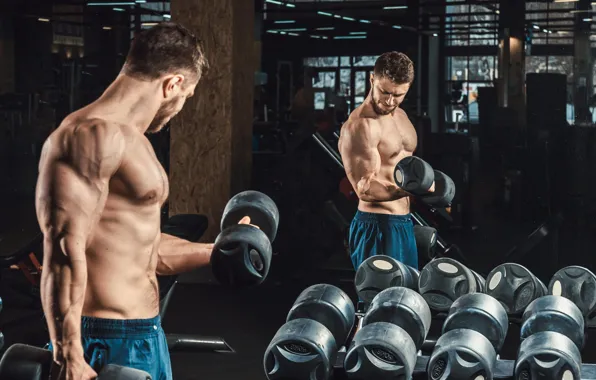 Muscle, muscle, press, pose, dumbbells, gym, bodybuilder, abs