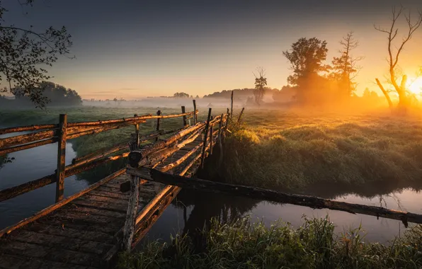 Landscape, nature, fog, sunrise, dawn, morning, the bridge, Bank