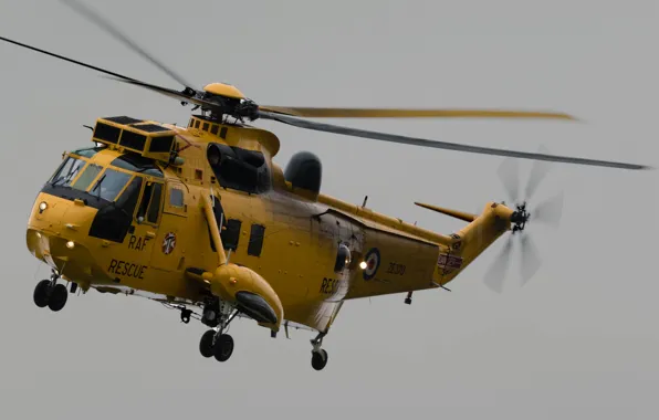 Picture helicopter, transport, Sea King, "Sea king