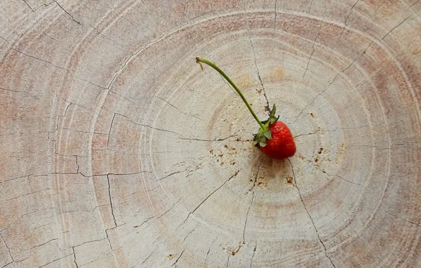 Strawberry, berry, widescreen, beautiful, background, фон background, the Wallpapers, spring