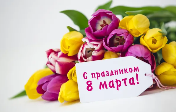 Picture flowers, bouquet, colorful, tulips, happy, March 8, yellow, flowers
