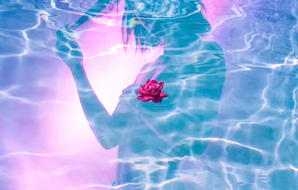 Wallpaper by Hayden Williams, Lotus, silhouette, girl, water