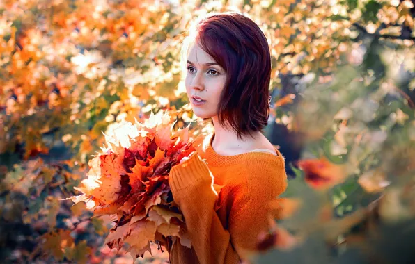 Autumn, girl, nature, foliage