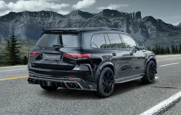 Mercedes-Benz, Mercedes, Black, Mountain, Mansory, Road, Rear, GLS-Class