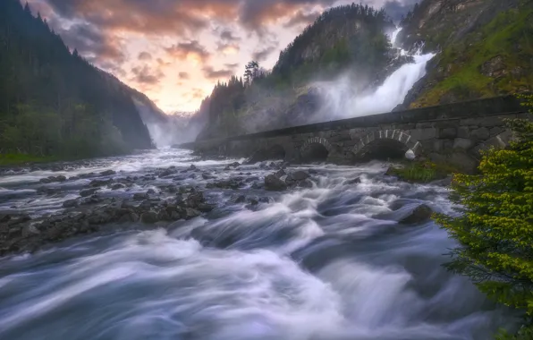 Wave, forest, mountains, branches, bridge, fog, stones, rocks