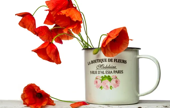 Flowers, the inscription, Maki, mug, Helmut Hess