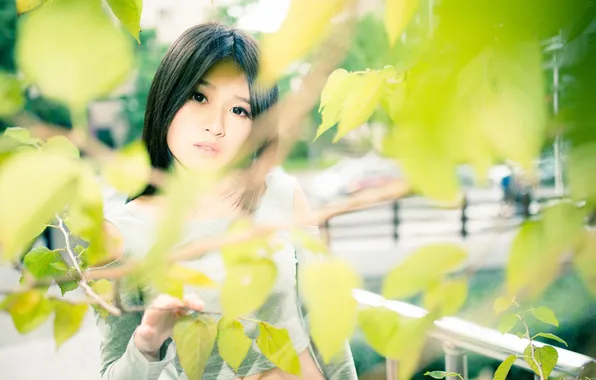 Look, leaves, the sun, model, hand, portrait, branch, makeup