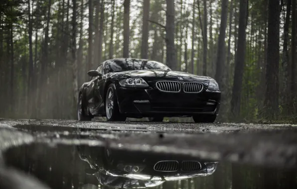 Car, machine, auto, bridge, city, fog, race, bmw