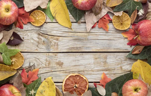 Autumn, leaves, background, Board, colorful, harvest, fruit, maple